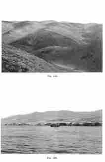 Fig. 148—The Coast Range between Mollendo and Arequipa at the end of June, 1911. There is practically no grass and only a few dry shrubs. The fine network over the hill slopes is composed of interlacing cattle tracks. The cattle roam over these hills after the rains which come at long intervals. (See page 141 for description of the rains and the transformations they effect. For example, in October, 1911, these hills were covered with grass.)