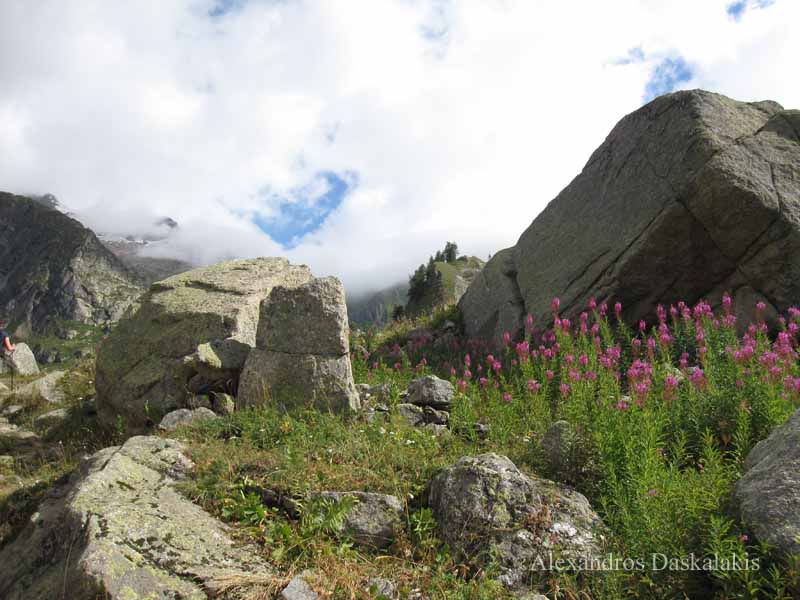 Mont Blanc