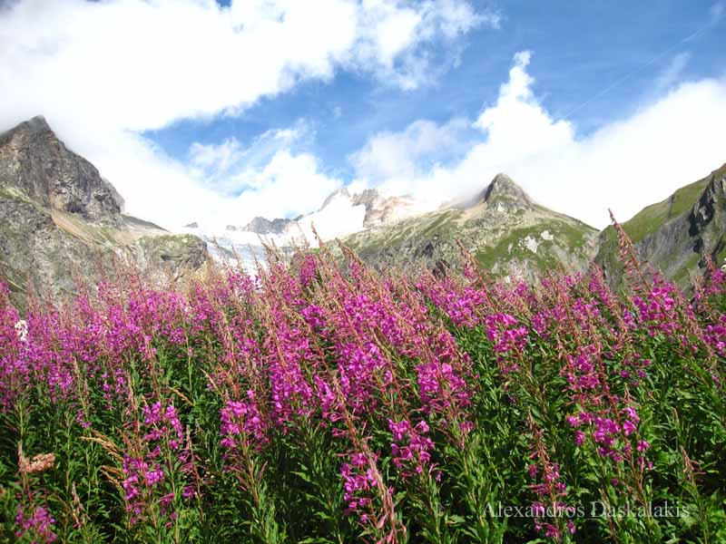 Mont Blanc