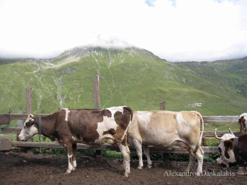 Mont Blanc