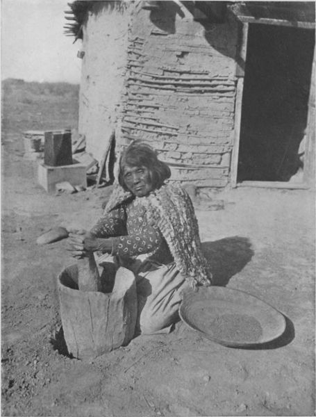 A MOJAVE INDIAN POUNDING MESQUITE BEANS IN WOODEN MORTAR
