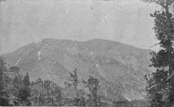 Mount San Antonio, July 4, 1895, As Seen from Mount Lowe.