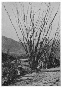Fig. 86