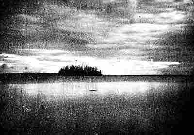 Small island in large expanse of water; tall evergreens reflecting images in Puget Sound.