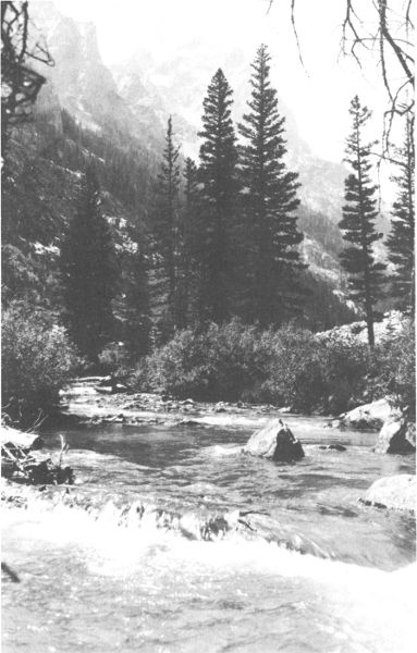 THE ICY WATERS OF CASCADE CANYON Copyright, Crandall.